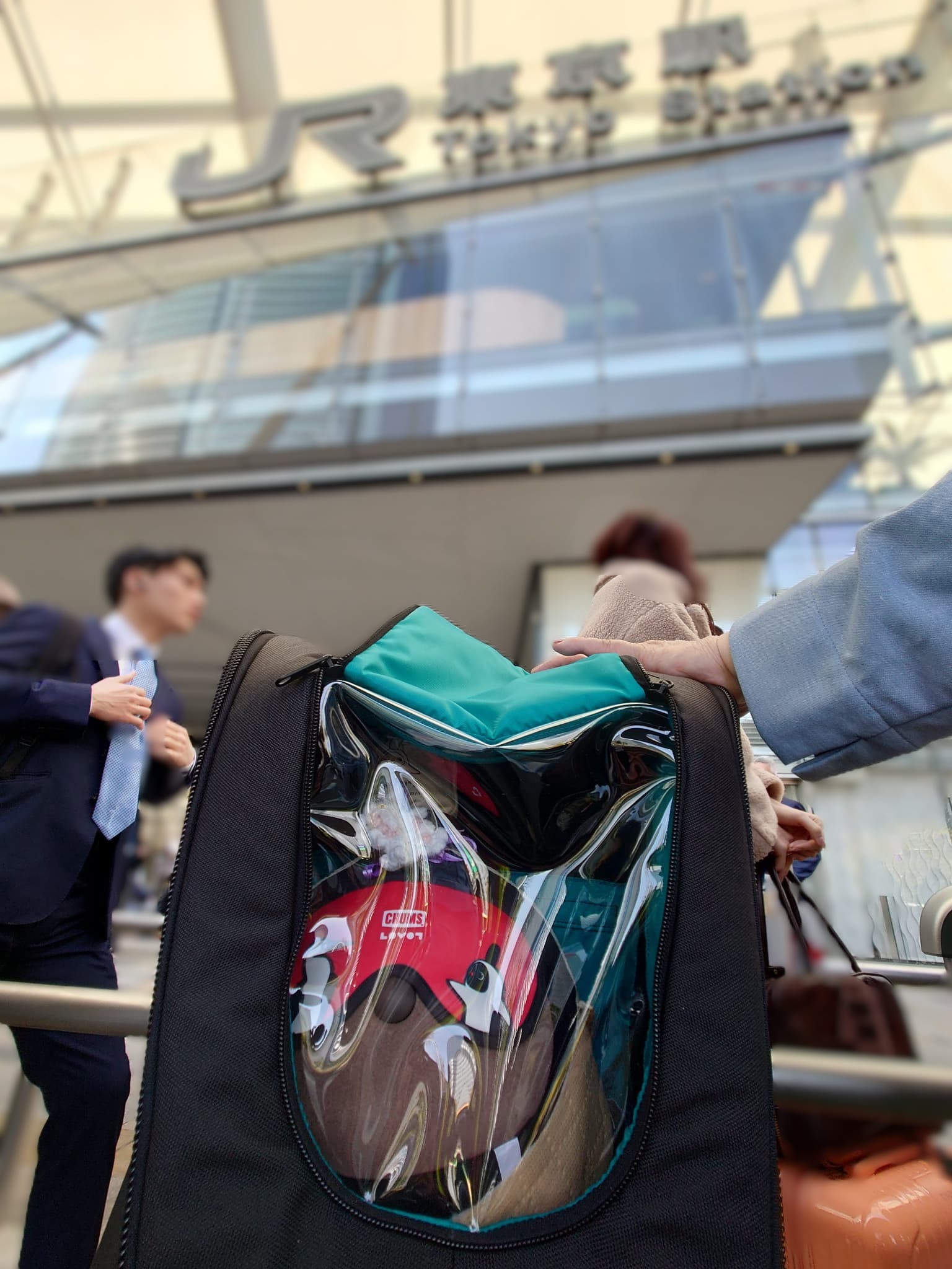 LOVOT通信バックナンバー】これで安心！ホーンカバーの正しい